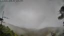 ./images/calvert/fitz-hugh-hecate/20260524/fitz-hugh-hecate20260524_200501M.jpg