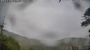 ./images/calvert/fitz-hugh-hecate/20260524/fitz-hugh-hecate20260524_202002M.jpg