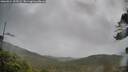 ./images/calvert/fitz-hugh-hecate/20260524/fitz-hugh-hecate20260524_202502M.jpg