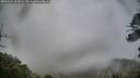 ./images/calvert/fitz-hugh-hecate/20260524/fitz-hugh-hecate20260524_204001M.jpg