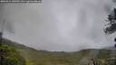 ./images/calvert/fitz-hugh-hecate/20260524/fitz-hugh-hecate20260524_205501M.jpg