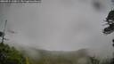 ./images/calvert/fitz-hugh-hecate/20260524/fitz-hugh-hecate20260524_210002M.jpg
