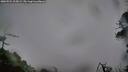 ./images/calvert/fitz-hugh-hecate/20260524/fitz-hugh-hecate20260524_213002M.jpg