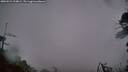 ./images/calvert/fitz-hugh-hecate/20260524/fitz-hugh-hecate20260524_214001M.jpg