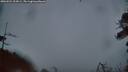 ./images/calvert/fitz-hugh-hecate/20260524/fitz-hugh-hecate20260524_214501M.jpg