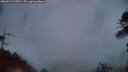 ./images/calvert/fitz-hugh-hecate/20260524/fitz-hugh-hecate20260524_215002M.jpg
