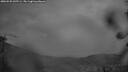 ./images/calvert/fitz-hugh-hecate/20260525/fitz-hugh-hecate20260525_045501M.jpg