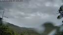 ./images/calvert/fitz-hugh-hecate/20260525/fitz-hugh-hecate20260525_052501M.jpg