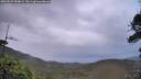 ./images/calvert/fitz-hugh-hecate/20260525/fitz-hugh-hecate20260525_054002M.jpg