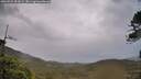 ./images/calvert/fitz-hugh-hecate/20260525/fitz-hugh-hecate20260525_054501M.jpg