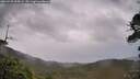./images/calvert/fitz-hugh-hecate/20260525/fitz-hugh-hecate20260525_055001M.jpg