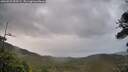 ./images/calvert/fitz-hugh-hecate/20260525/fitz-hugh-hecate20260525_055501M.jpg