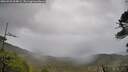 ./images/calvert/fitz-hugh-hecate/20260525/fitz-hugh-hecate20260525_064001M.jpg