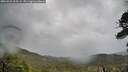 ./images/calvert/fitz-hugh-hecate/20260525/fitz-hugh-hecate20260525_065502M.jpg
