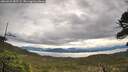 ./images/calvert/fitz-hugh-hecate/20260525/fitz-hugh-hecate20260525_082502M.jpg