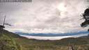 ./images/calvert/fitz-hugh-hecate/20260525/fitz-hugh-hecate20260525_085001M.jpg
