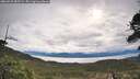 ./images/calvert/fitz-hugh-hecate/20260525/fitz-hugh-hecate20260525_085501M.jpg