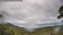 ./images/calvert/fitz-hugh-hecate/20260525/fitz-hugh-hecate20260525_102501M.jpg