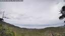 ./images/calvert/fitz-hugh-hecate/20260525/fitz-hugh-hecate20260525_113002M.jpg