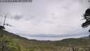 ./images/calvert/fitz-hugh-hecate/20260525/fitz-hugh-hecate20260525_113501M.jpg