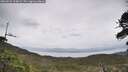 ./images/calvert/fitz-hugh-hecate/20260525/fitz-hugh-hecate20260525_114001M.jpg