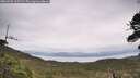 ./images/calvert/fitz-hugh-hecate/20260525/fitz-hugh-hecate20260525_115501M.jpg