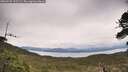 ./images/calvert/fitz-hugh-hecate/20260525/fitz-hugh-hecate20260525_122501M.jpg