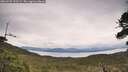 ./images/calvert/fitz-hugh-hecate/20260525/fitz-hugh-hecate20260525_123501M.jpg