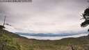 ./images/calvert/fitz-hugh-hecate/20260525/fitz-hugh-hecate20260525_124001M.jpg
