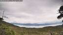 ./images/calvert/fitz-hugh-hecate/20260525/fitz-hugh-hecate20260525_125501M.jpg