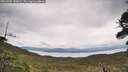 ./images/calvert/fitz-hugh-hecate/20260525/fitz-hugh-hecate20260525_130001M.jpg
