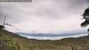 ./images/calvert/fitz-hugh-hecate/20260525/fitz-hugh-hecate20260525_130501M.jpg