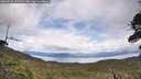 ./images/calvert/fitz-hugh-hecate/20260525/fitz-hugh-hecate20260525_151501M.jpg