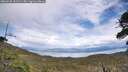 ./images/calvert/fitz-hugh-hecate/20260525/fitz-hugh-hecate20260525_152501M.jpg