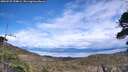 ./images/calvert/fitz-hugh-hecate/20260525/fitz-hugh-hecate20260525_154001M.jpg