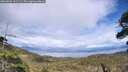 ./images/calvert/fitz-hugh-hecate/20260525/fitz-hugh-hecate20260525_161501M.jpg