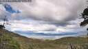 ./images/calvert/fitz-hugh-hecate/20260525/fitz-hugh-hecate20260525_170501M.jpg