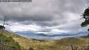 ./images/calvert/fitz-hugh-hecate/20260525/fitz-hugh-hecate20260525_171002M.jpg