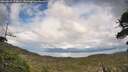 ./images/calvert/fitz-hugh-hecate/20260525/fitz-hugh-hecate20260525_173001M.jpg