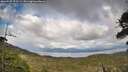 ./images/calvert/fitz-hugh-hecate/20260525/fitz-hugh-hecate20260525_173501M.jpg