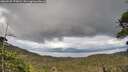./images/calvert/fitz-hugh-hecate/20260525/fitz-hugh-hecate20260525_175002M.jpg