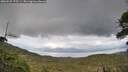 ./images/calvert/fitz-hugh-hecate/20260525/fitz-hugh-hecate20260525_175501M.jpg
