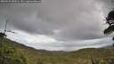 ./images/calvert/fitz-hugh-hecate/20260525/fitz-hugh-hecate20260525_181001M.jpg