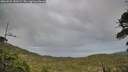 ./images/calvert/fitz-hugh-hecate/20260525/fitz-hugh-hecate20260525_183501M.jpg