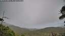 ./images/calvert/fitz-hugh-hecate/20260525/fitz-hugh-hecate20260525_184502M.jpg
