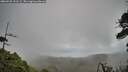 ./images/calvert/fitz-hugh-hecate/20260525/fitz-hugh-hecate20260525_191502M.jpg