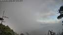 ./images/calvert/fitz-hugh-hecate/20260525/fitz-hugh-hecate20260525_195502M.jpg