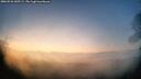 ./images/calvert/fitz-hugh-hecate/20260526/fitz-hugh-hecate20260526_045501M.jpg