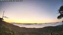 ./images/calvert/fitz-hugh-hecate/20260526/fitz-hugh-hecate20260526_051001M.jpg