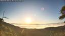 ./images/calvert/fitz-hugh-hecate/20260526/fitz-hugh-hecate20260526_062001M.jpg